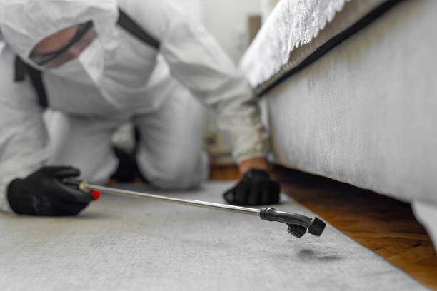 Professional Cockroach Control technician working in Ridgefield, WA